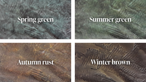 Colour choices of bronze leaves